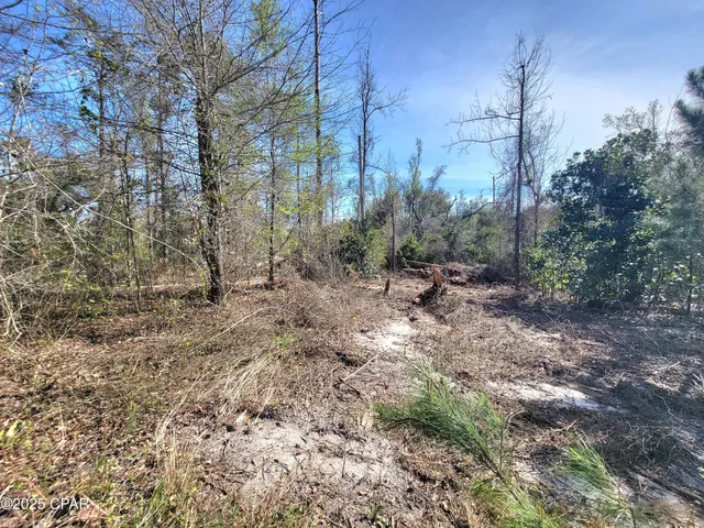 $82,500 | 0 Highway 90, Sneads, FL 32460