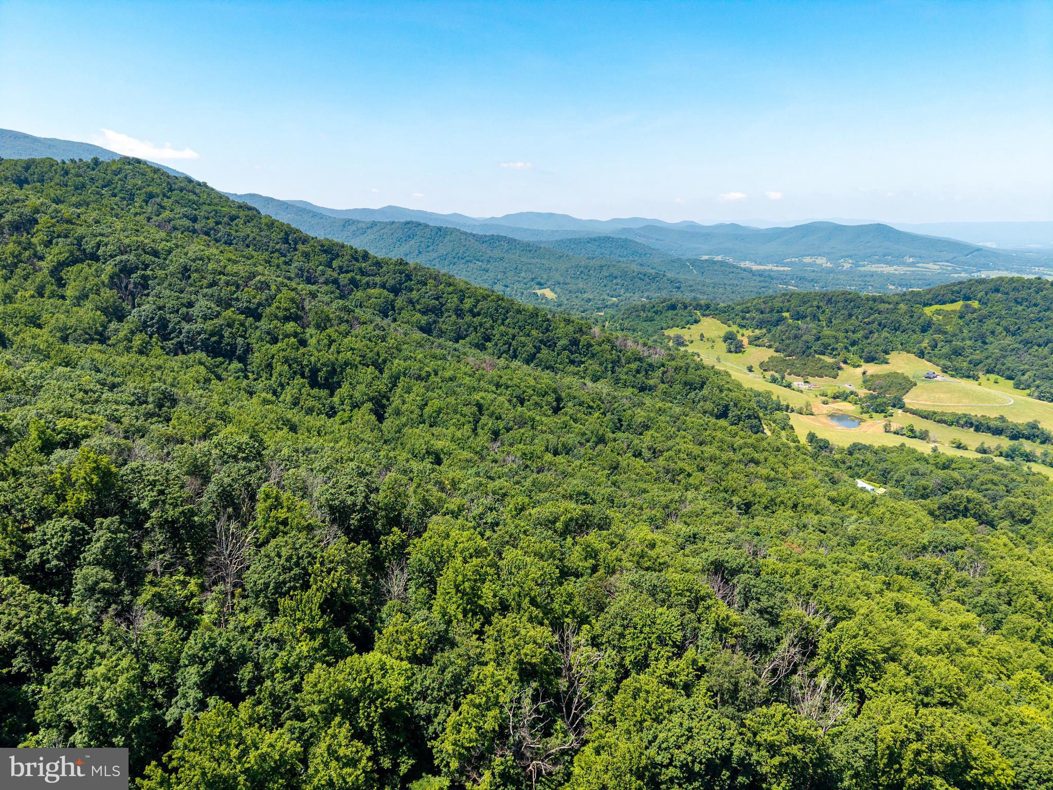 0 Helms Road Stanley, VA 22851 - Photo 41 of 50