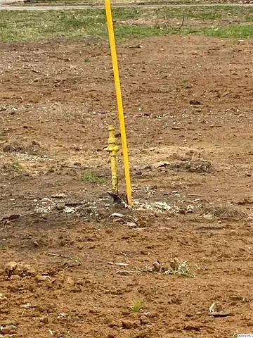 $9,250 | 328 South Washington Street, Meredosia, IL 62665