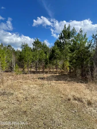 $260,000 | 0 Split Drive Southeast, Bolivia, NC 28422