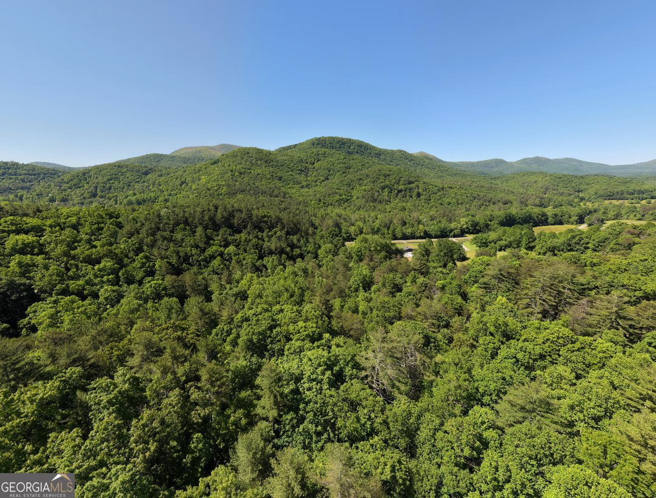 4836 Owltown Road Blairsville, GA 30512 - Photo 95 of 95