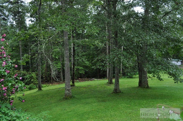 210 Rocky Point Acres Road Deep Gap, NC 28618 - Photo 3 of 20