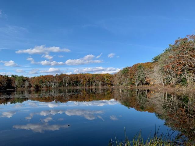 38 Pine Mountain Road Cape Neddick, ME 03902 - Photo 44 of 45 Lake Caroline