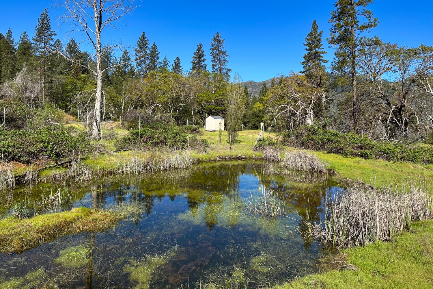 1271 Lake Road Junction City, CA 96048 - Photo 1 of 1 a view of a lake with houses