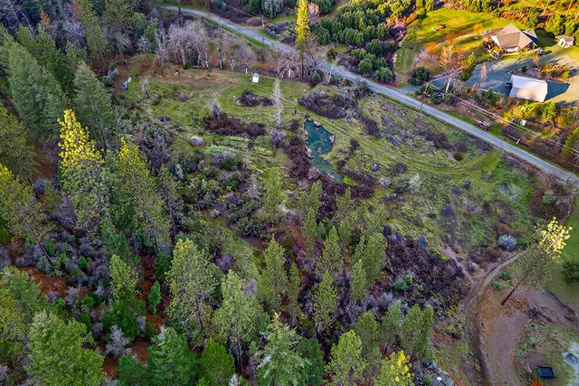 a view of a garden with plants