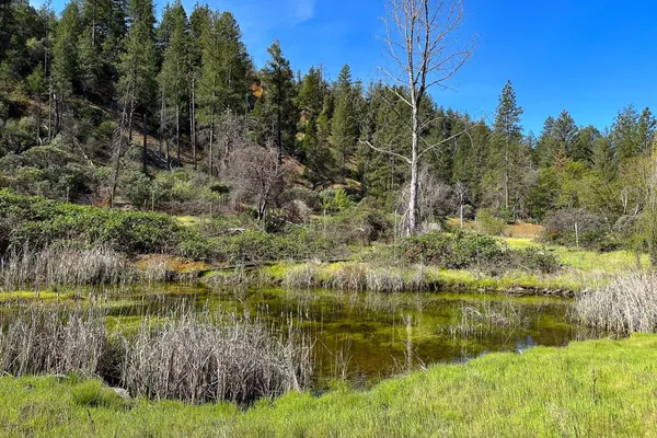 $70,000 | 1271 Lake Road, Junction City, CA 96048