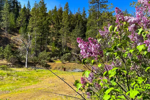 $70,000 | 1271 Lake Road, Junction City, CA 96048