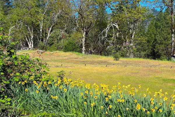 $70,000 | 1271 Lake Road, Junction City, CA 96048