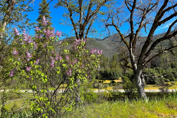 $70,000 | 1271 Lake Road, Junction City, CA 96048