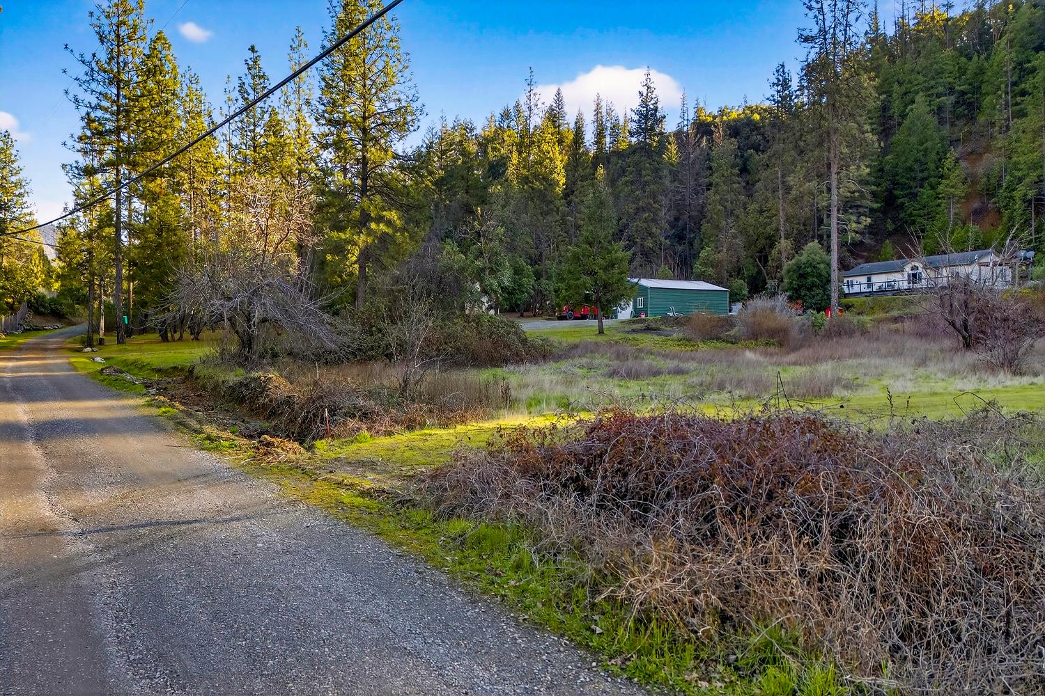 1271 Lake Road Junction City, CA 96048 - Photo 6 of 19 a view of a yard with large trees