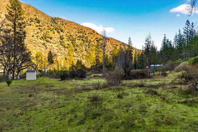 a view of outdoor space with trees all around
