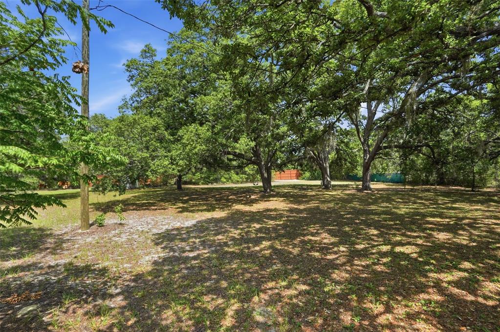 15620 Hays Road Spring Hill, FL 34610 - Photo 74 of 87