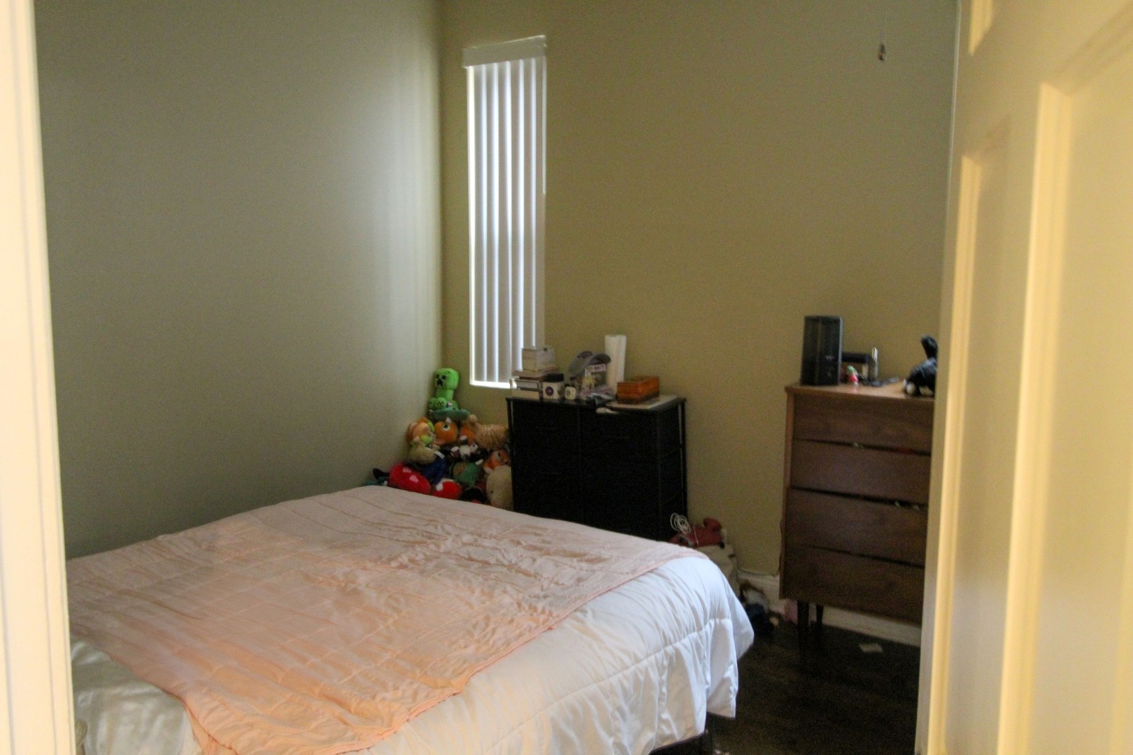 815 South Bell Avenue Chicago, IL 60612 - Photo 23 of 39 a bedroom with a bed and a closet