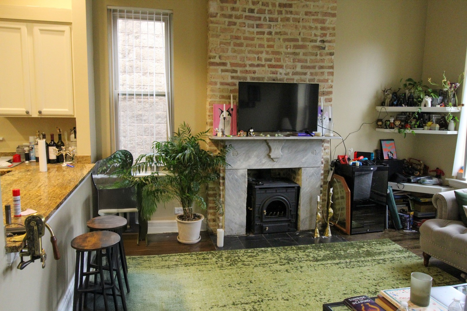 815 South Bell Avenue Chicago, IL 60612 - Photo 27 of 39 a living room with furniture a flat screen tv and a fireplace