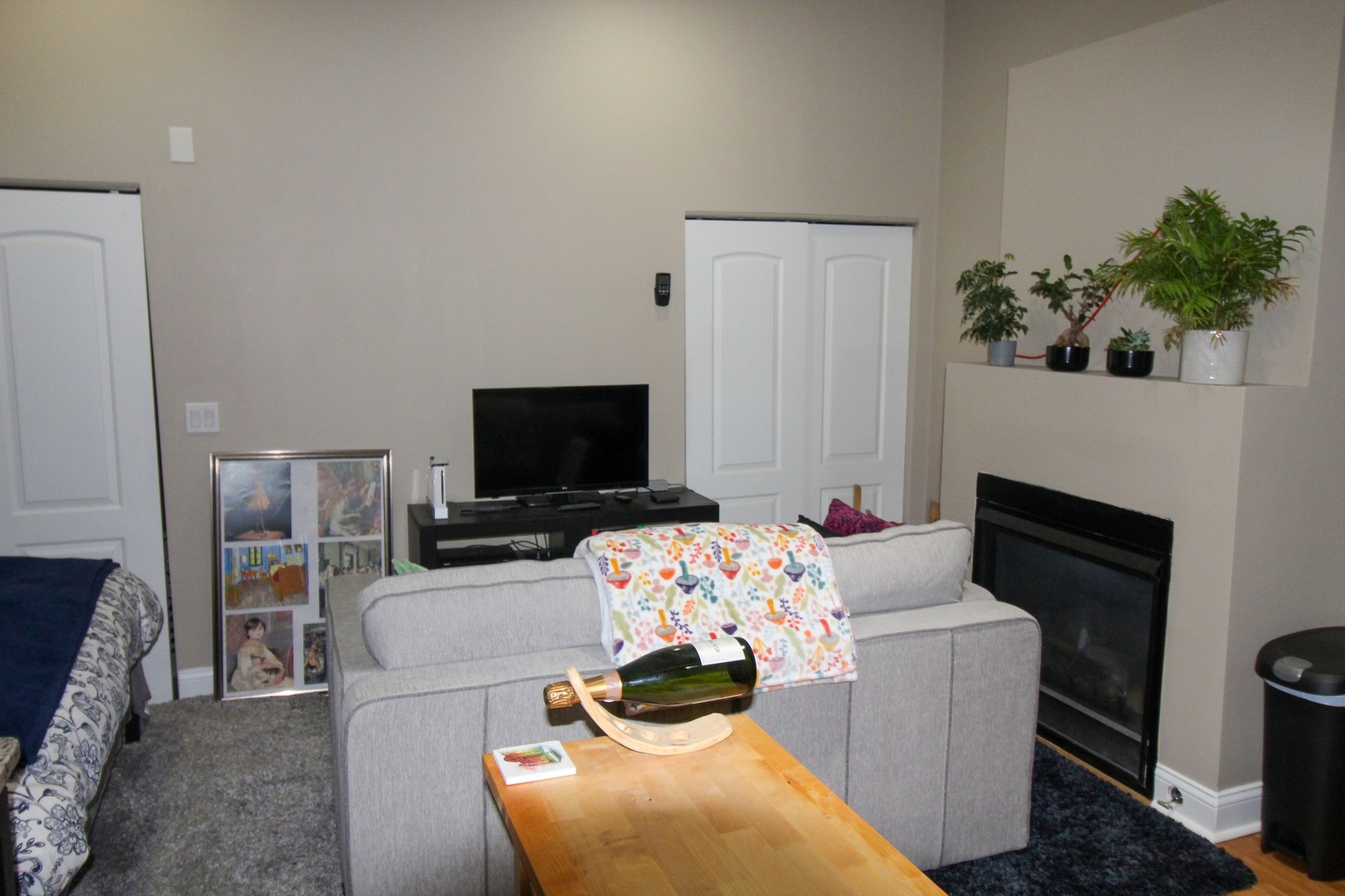 815 South Bell Avenue Chicago, IL 60612 - Photo 36 of 39 a living room with furniture a flat screen tv and a fireplace