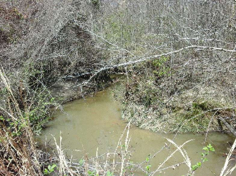 0 Simpson Highway Florence, MS 39073 - Photo 4 of 14 Photo 4