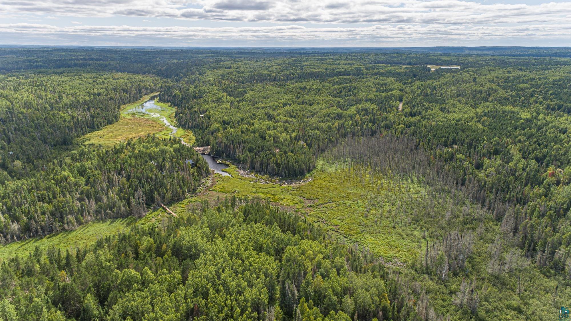 1731 North Grassy Road Ely, MN 55731 - Photo 47 of 50