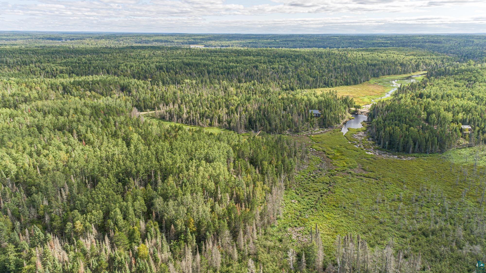 1731 North Grassy Road Ely, MN 55731 - Photo 48 of 50