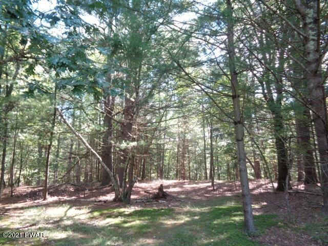Lot 9 Stabler Road Hawley, PA 18428 - Photo 19 of 30