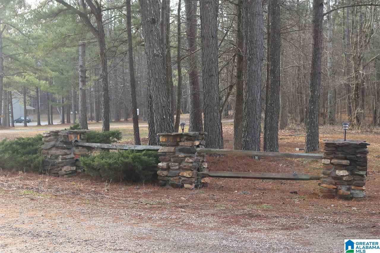 0 County Road 928, Unit 36 Delta, AL 36258 - Photo 4 of 20