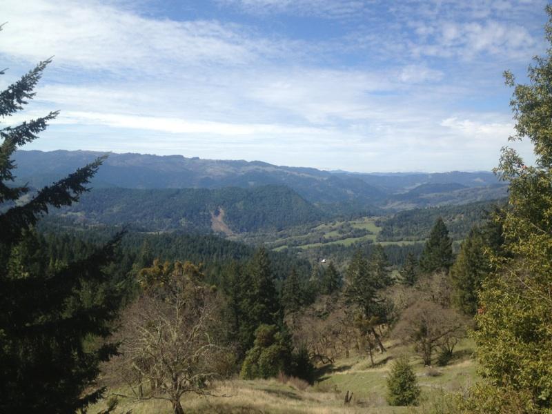 40-acres Stewart Ranch Road Alderpoint, CA 95511 - Photo 1 of 1 Gallery Image 1