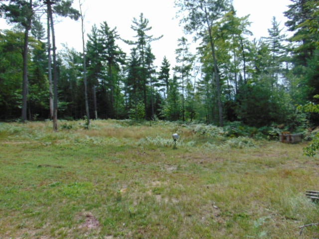 11680 Fossitt Road Newberry, MI 49868 - Photo 5 of 17 Gallery Image 5