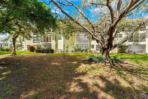 a view of a yard with a large tree