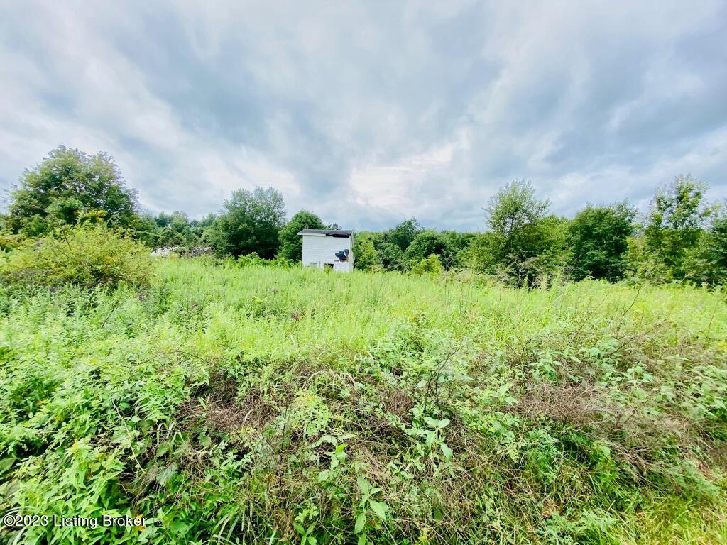 353 Polin-Hardesty-Litsey Road Springfield, KY 40069 - Photo 5 of 5 IMG_5587