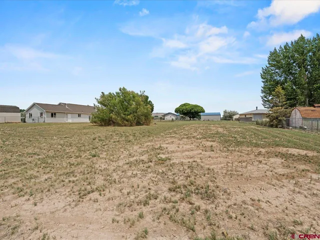 a view of a field with an ocean