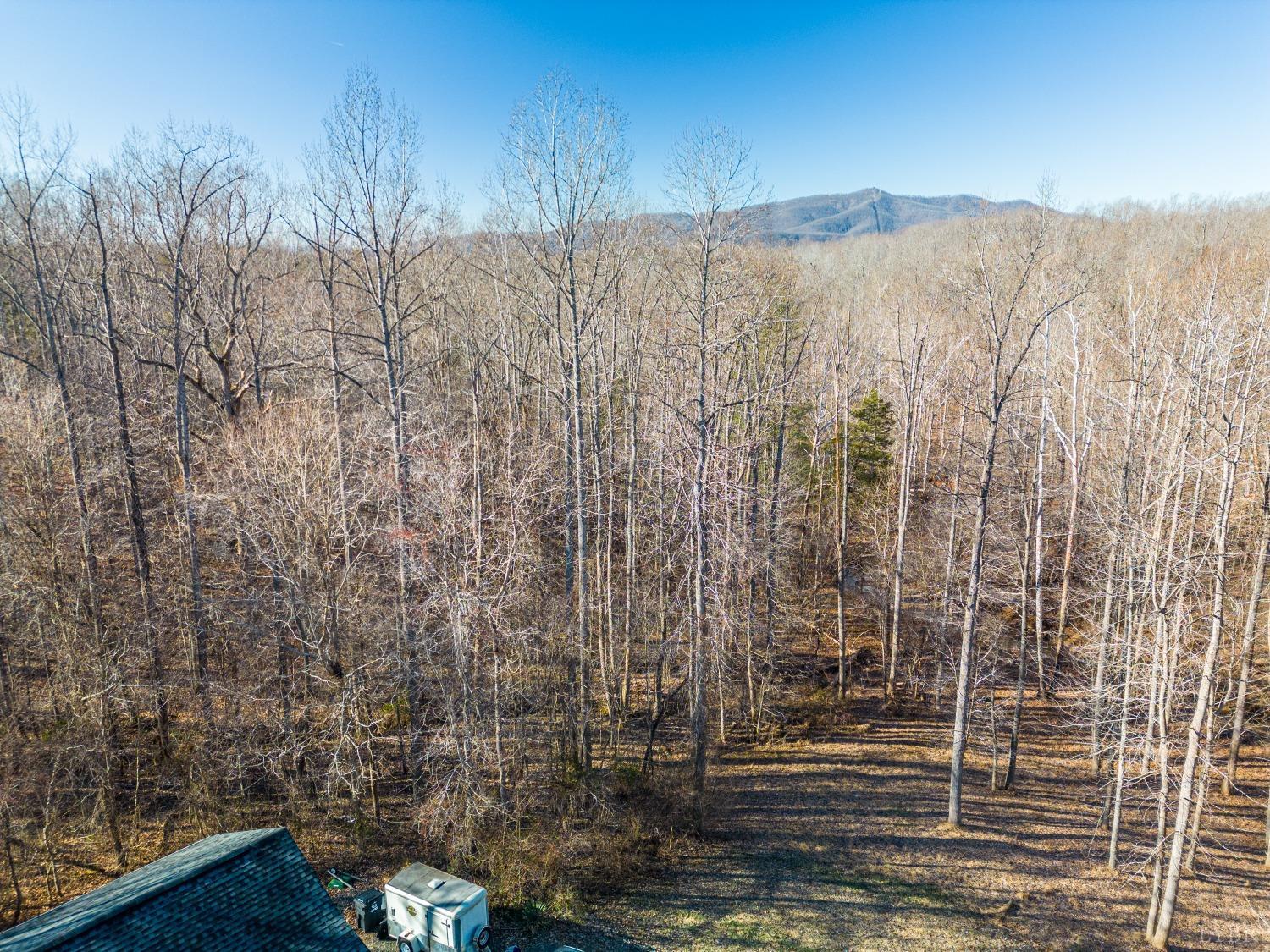 191 Father Judge Road Monroe, VA 24574 - Photo 38 of 58 Gallery Image 38