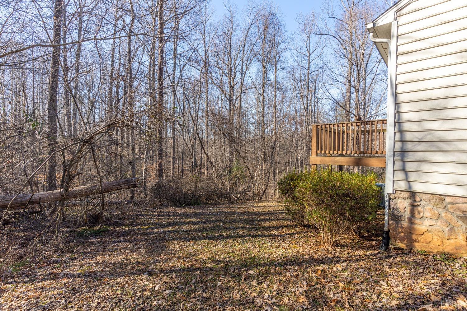 191 Father Judge Road Monroe, VA 24574 - Photo 45 of 58 Gallery Image 45