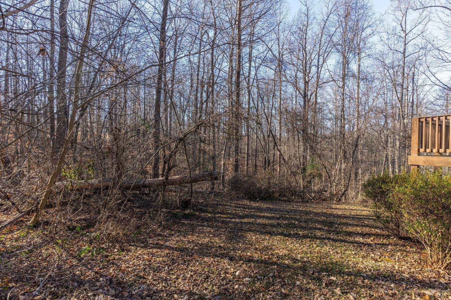 191 Father Judge Road Monroe, VA 24574 - Photo 46 of 58 Gallery Image 46