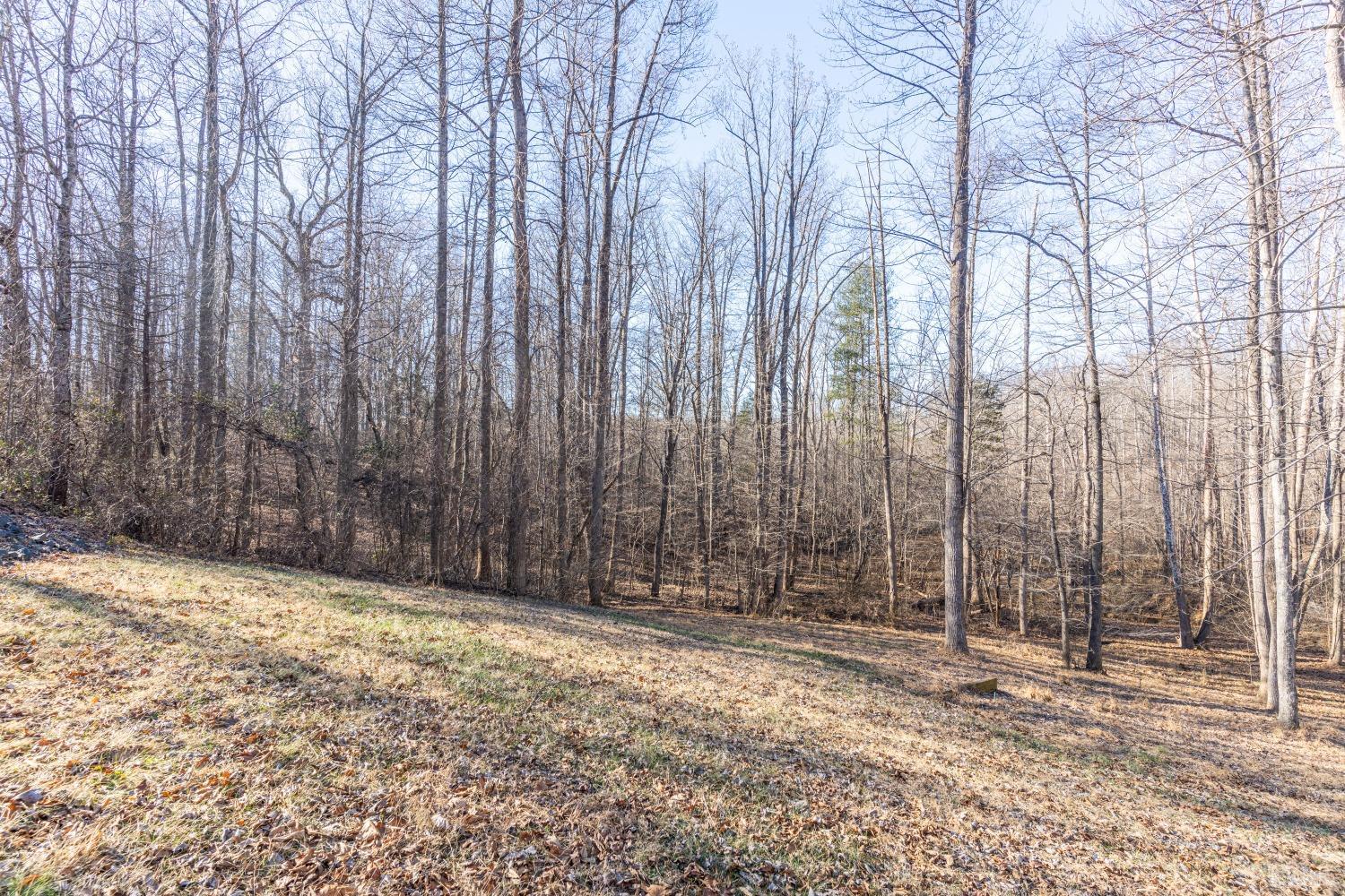 191 Father Judge Road Monroe, VA 24574 - Photo 49 of 58 Gallery Image 49