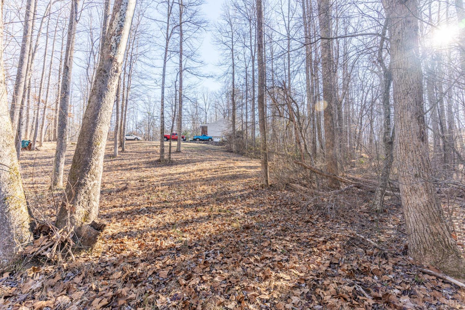 191 Father Judge Road Monroe, VA 24574 - Photo 57 of 58 Gallery Image 57