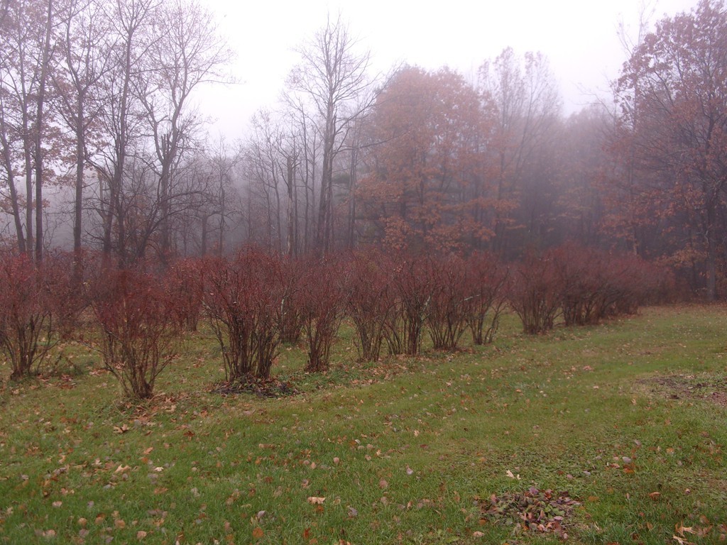 145 Main Road Westhampton, MA 01027 - Photo 4 of 30 a view of a field with trees in the background