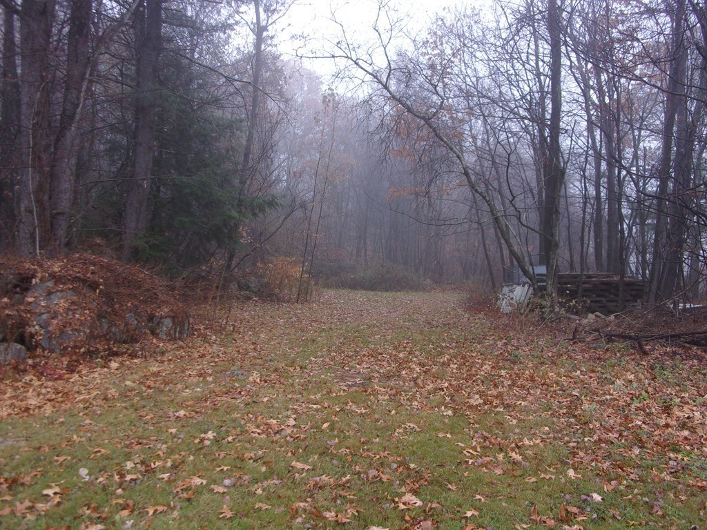 145 Main Road Westhampton, MA 01027 - Photo 8 of 30 a view of backyard with large trees
