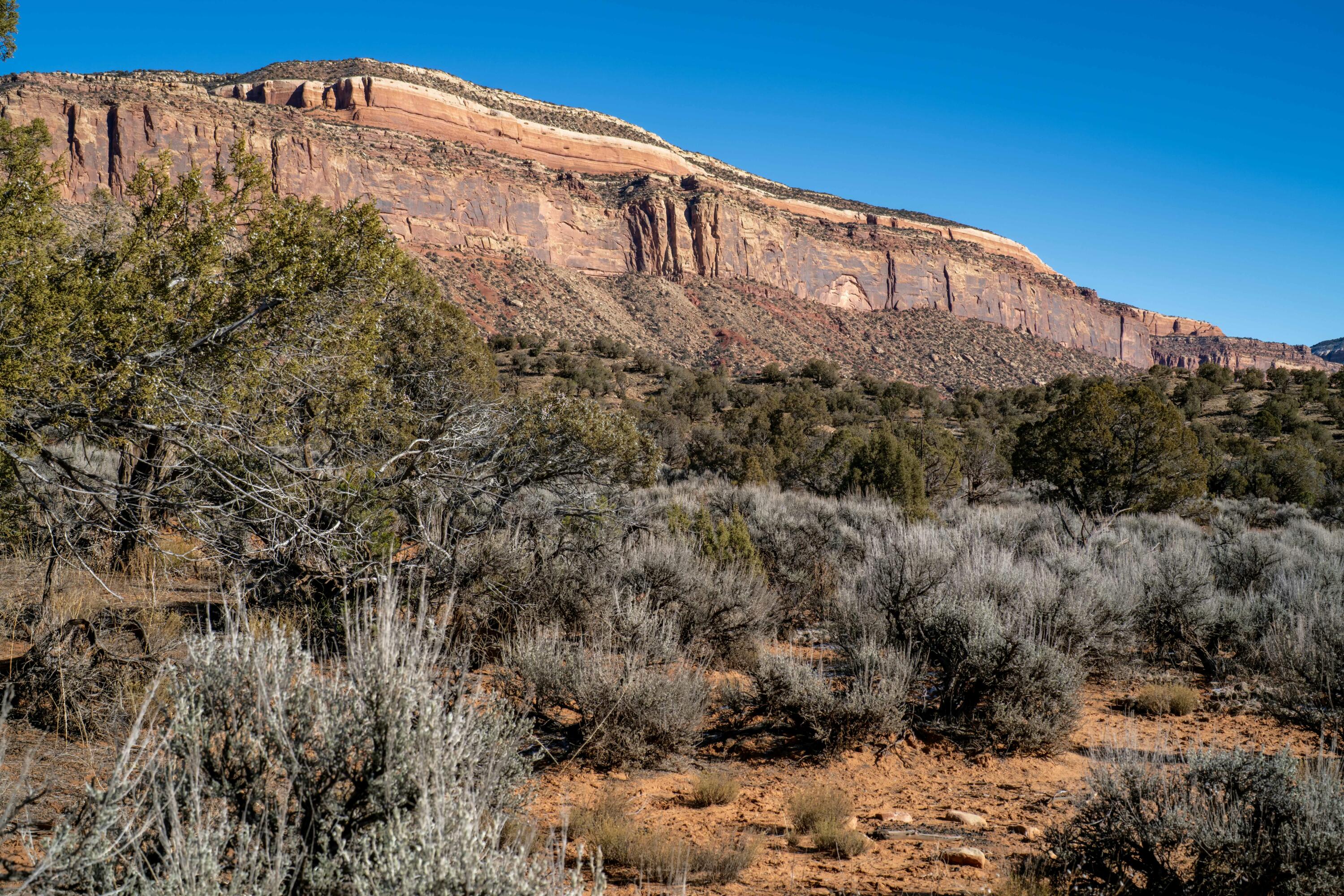 Tbd Tbd Tbd Paradox, CO 81429 - Photo 1 of 19 a view of a building