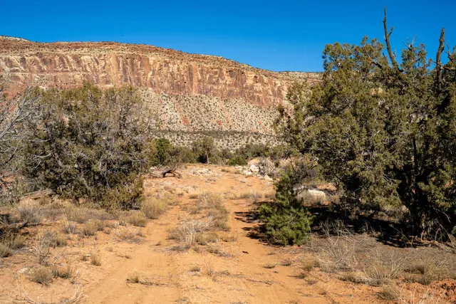 a view of a yard covered in snow