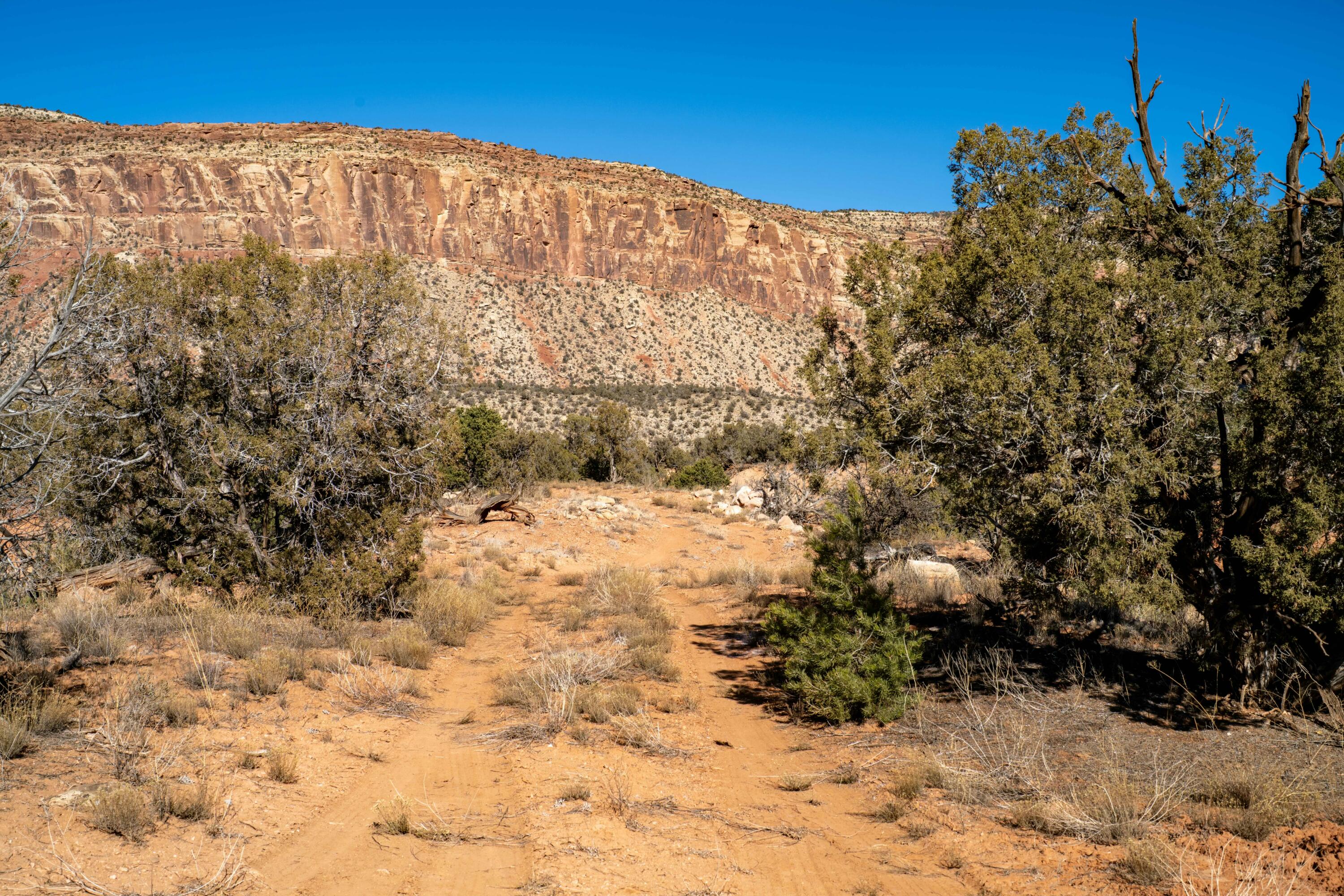 Tbd Tbd Tbd Paradox, CO 81429 - Photo 17 of 19 a view of a yard covered in snow