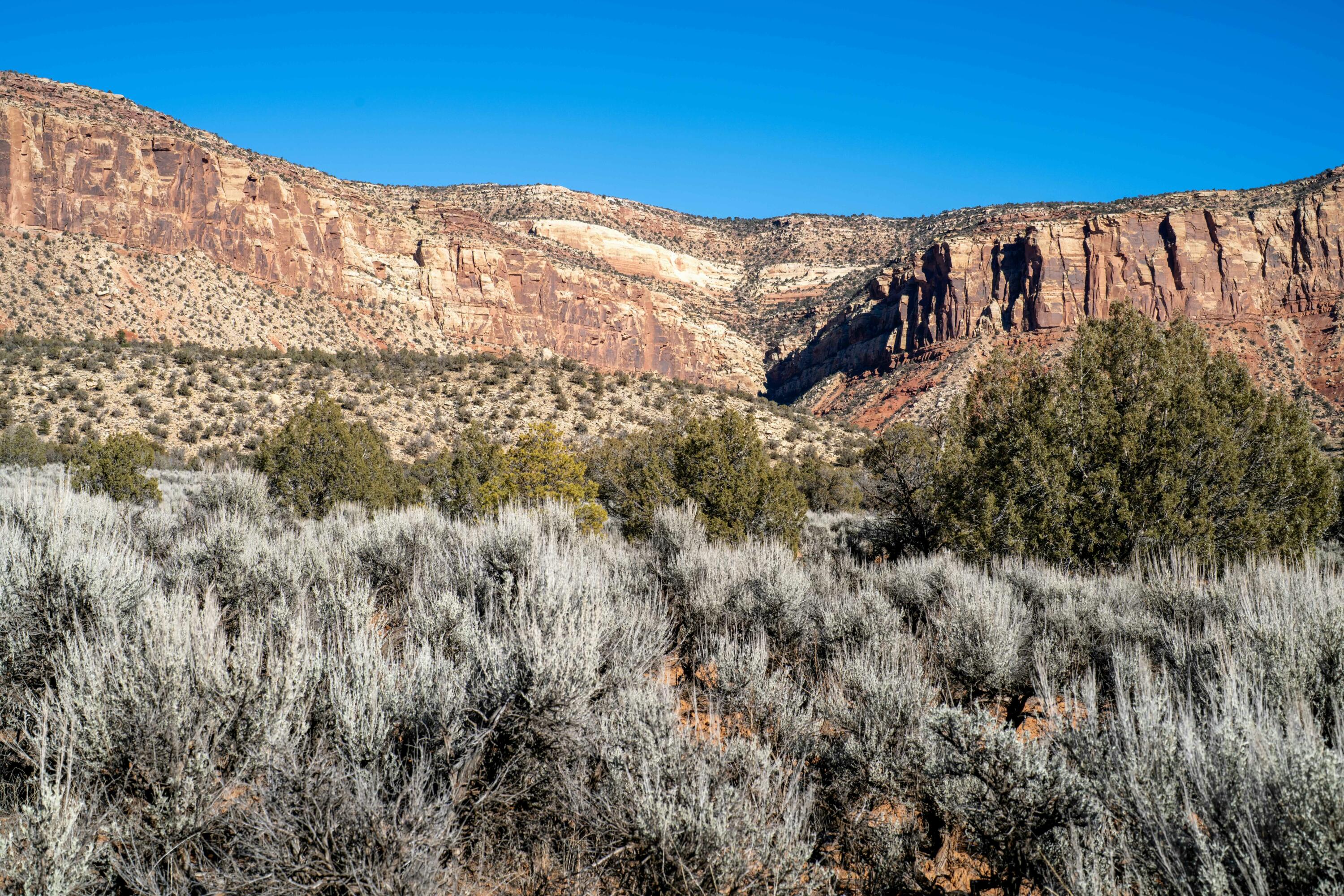 Tbd Tbd Tbd Paradox, CO 81429 - Photo 5 of 19 a view of a large building with a mountain and a forest
