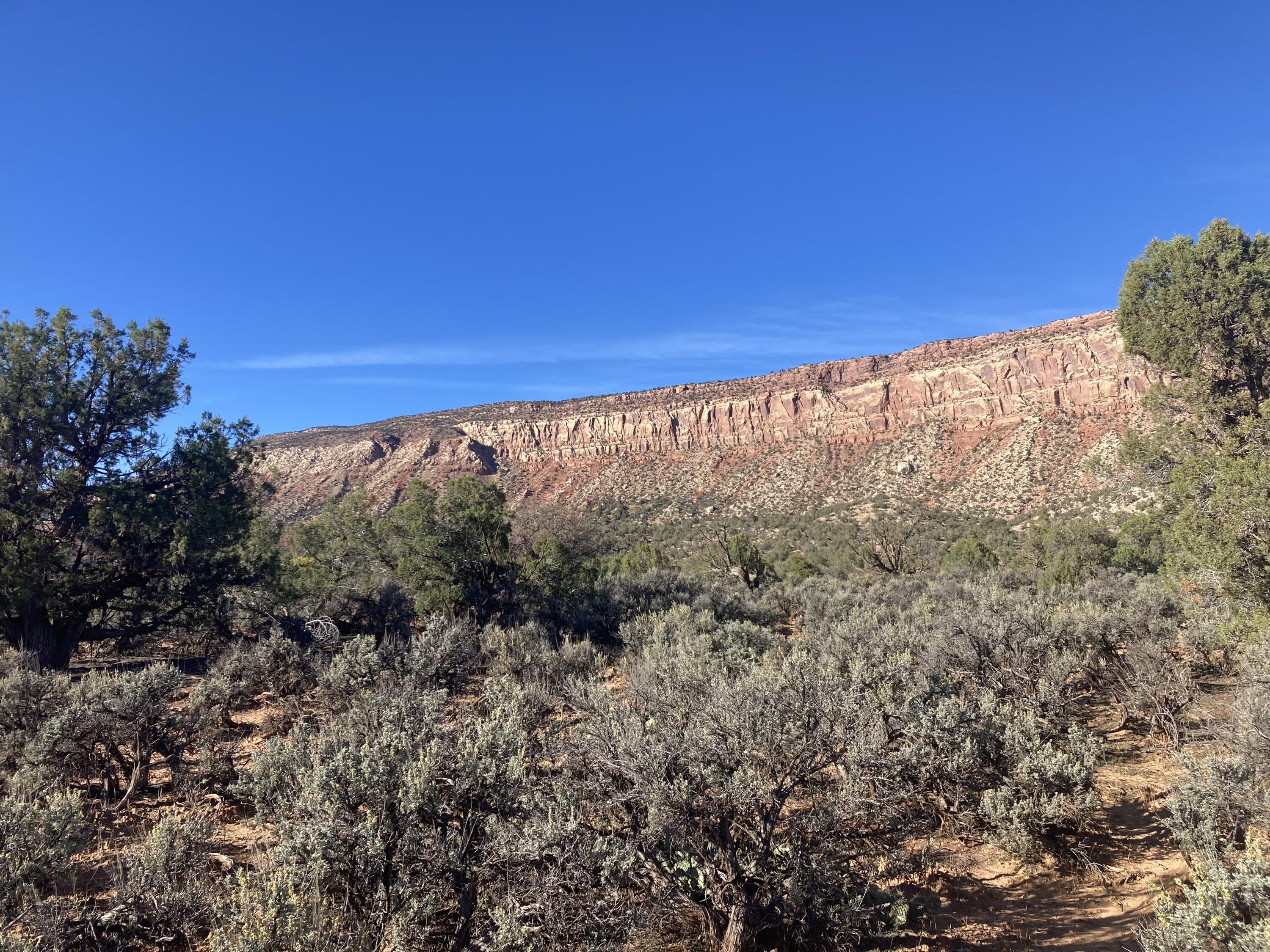 Tbd Tbd Tbd Paradox, CO 81429 - Photo 9 of 19 a view of a field