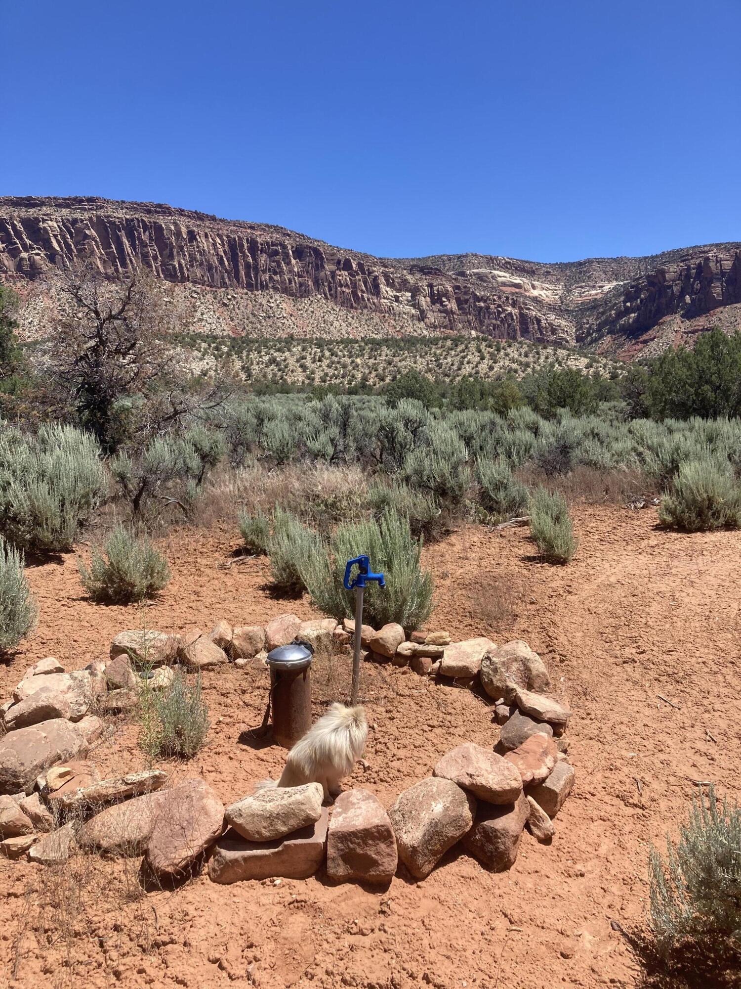 Tbd Tbd Tbd Paradox, CO 81429 - Photo 10 of 19 a view of a large building with mountains in the background