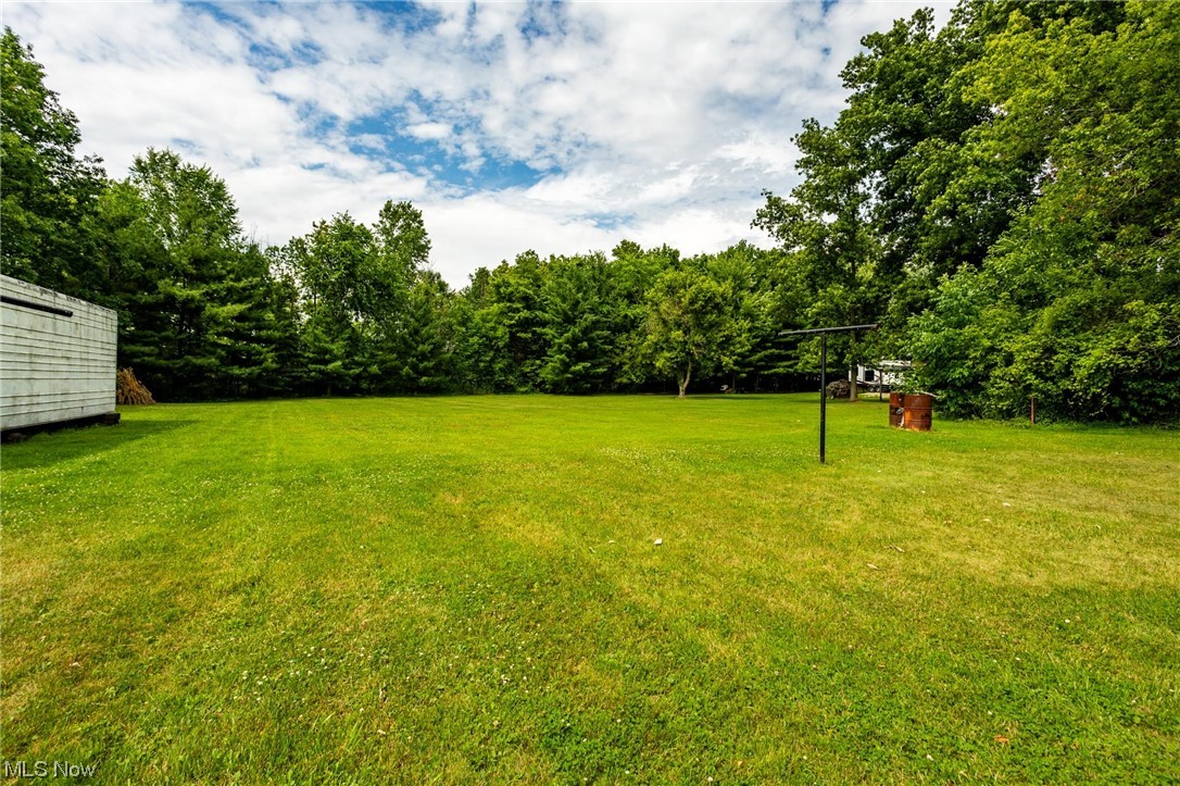 42578 Webster Road Lagrange, OH 44050 - Photo 32 of 35