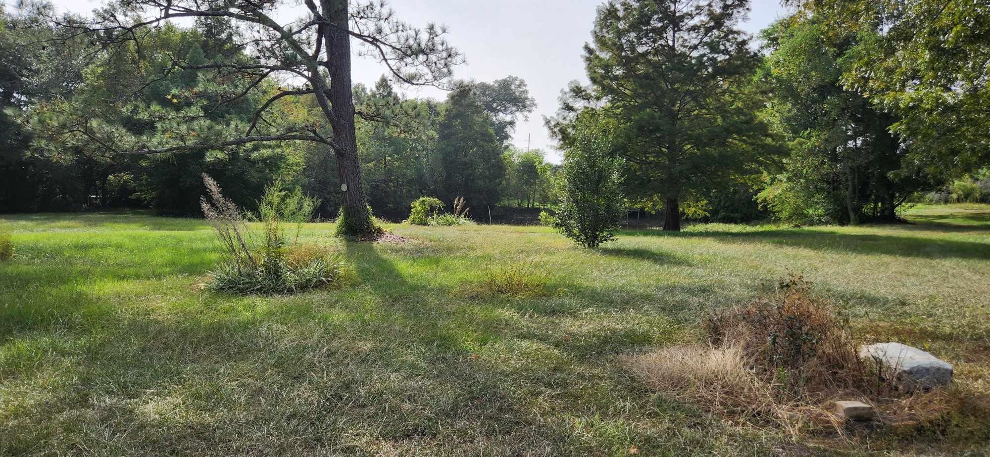 10145 County Road 64 Daphne, AL 36526 - Photo 8 of 21