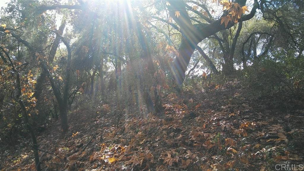 0 Via De La Roca Road Fallbrook, CA 92028 - Photo 15 of 19
