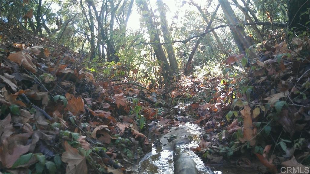 0 Via De La Roca Road Fallbrook, CA 92028 - Photo 16 of 19