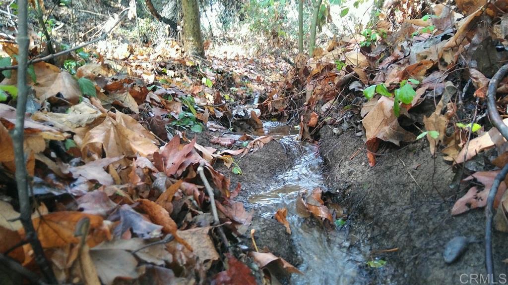 0 Via De La Roca Road Fallbrook, CA 92028 - Photo 17 of 19