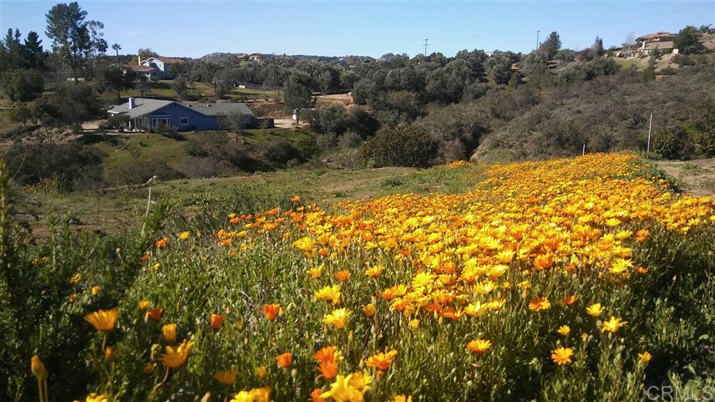 0 Via De La Roca Road Fallbrook, CA 92028 - Photo 18 of 19