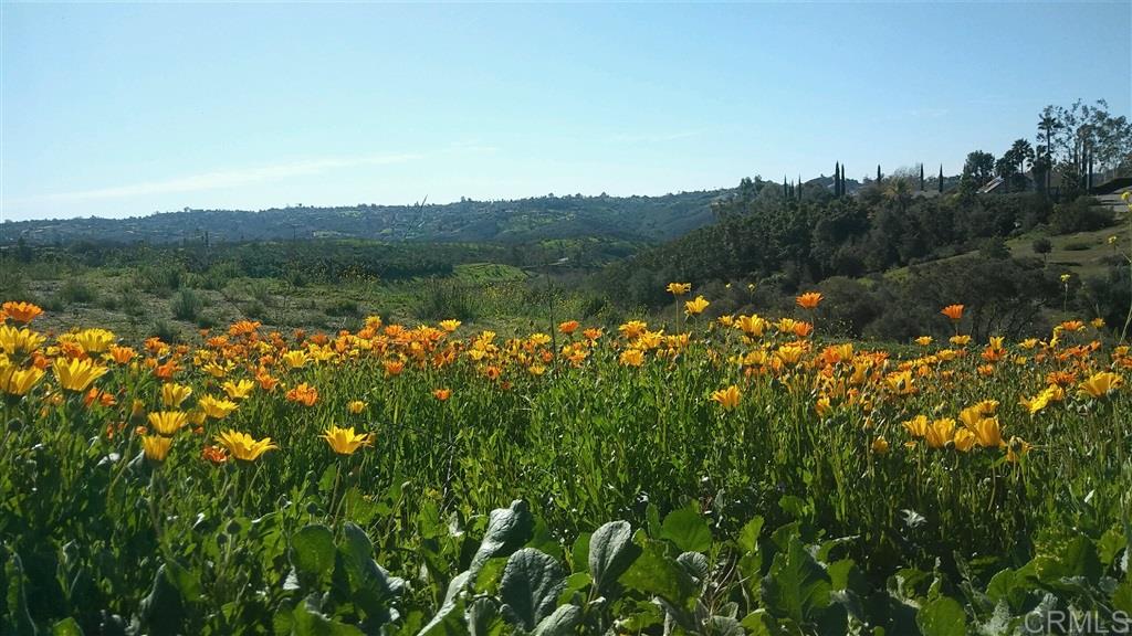 0 Via De La Roca Road Fallbrook, CA 92028 - Photo 19 of 19