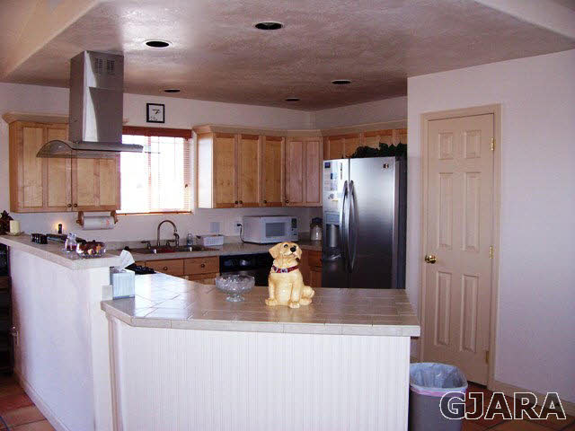 20258 Fox Ridge Drive Austin, CO 81410 - Photo 4 of 6 a kitchen with a refrigerator a stove a sink and dishwasher